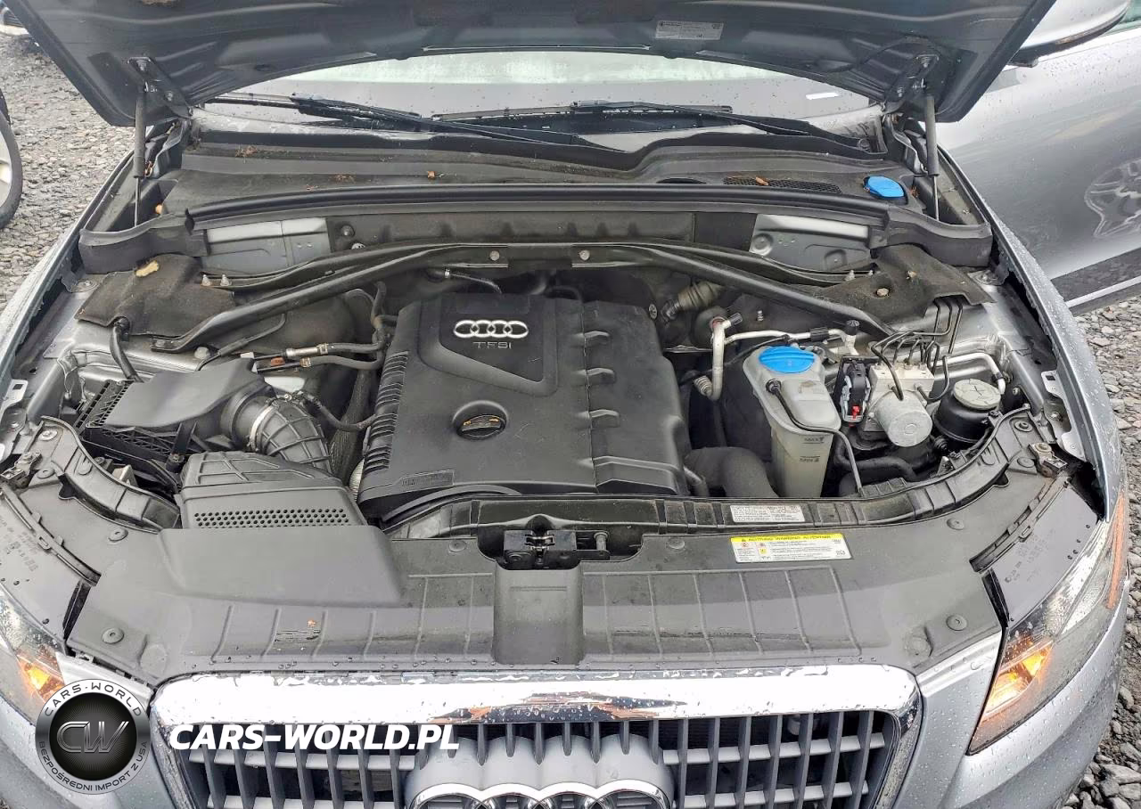 2011 Audi Q5 Premium Plus VIN:WA1LFAFP7BA102831 - 12