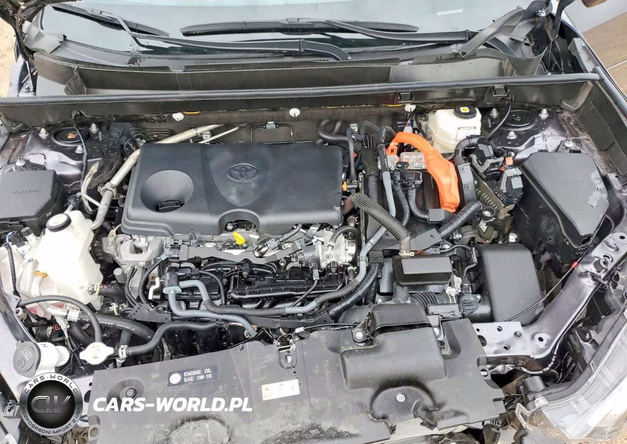 2025 Toyota Rav4 Hybrid Xle VIN:JTMRWRFVXSJ067179 - 12