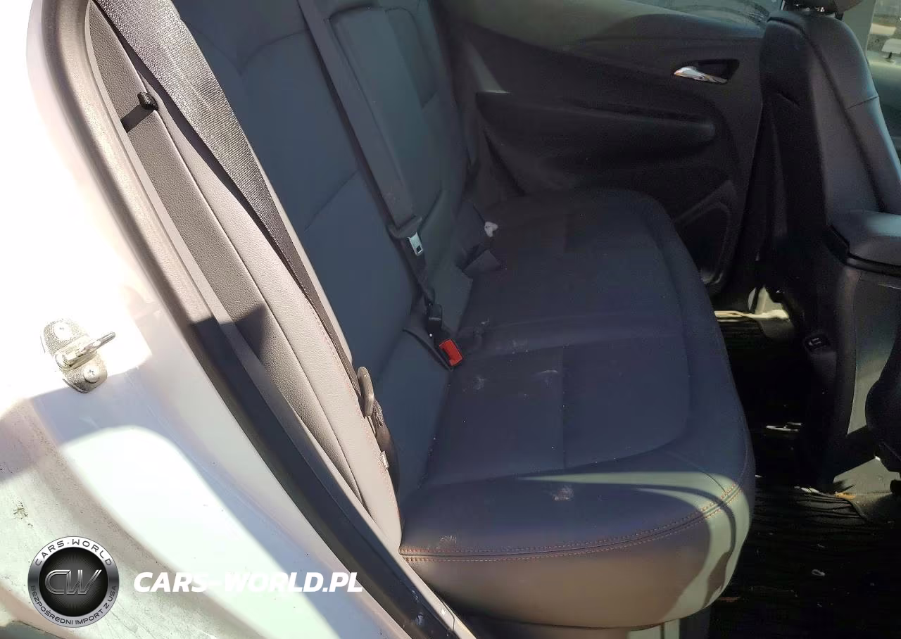 2018 Chevrolet Bolt Ev Premier VIN:1G1FX6S01J4109544 - 10
