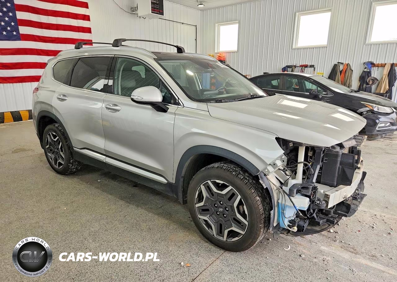 2022 Hyundai Santa Fe Sel Premium VIN:KM8S3DA15NU027401 - 4