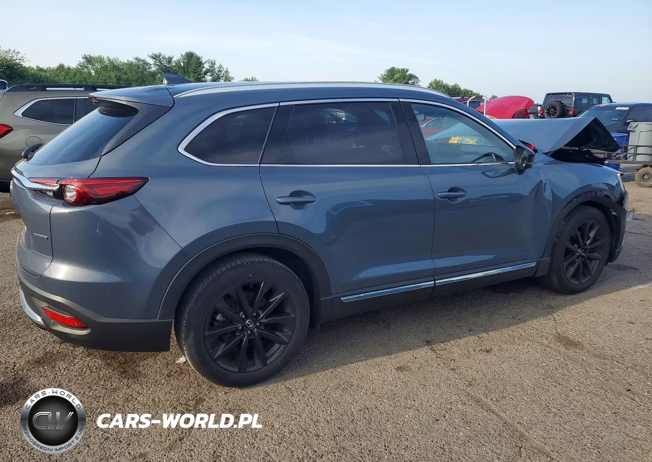 2022 Mazda Cx-9 Grand Touring VIN:JM3TCBDY2N0619441 - 3