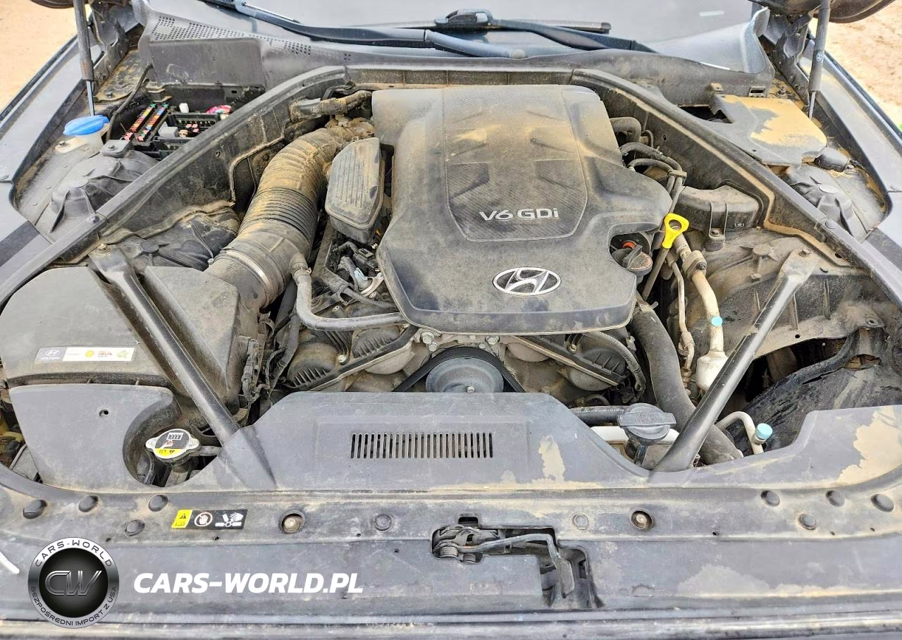 2015 Hyundai Genesis 3.8L VIN:KMHGN4JE9FU088562 - 11