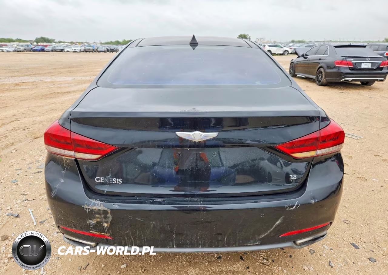 2015 Hyundai Genesis 3.8L VIN:KMHGN4JE9FU088562 - 6