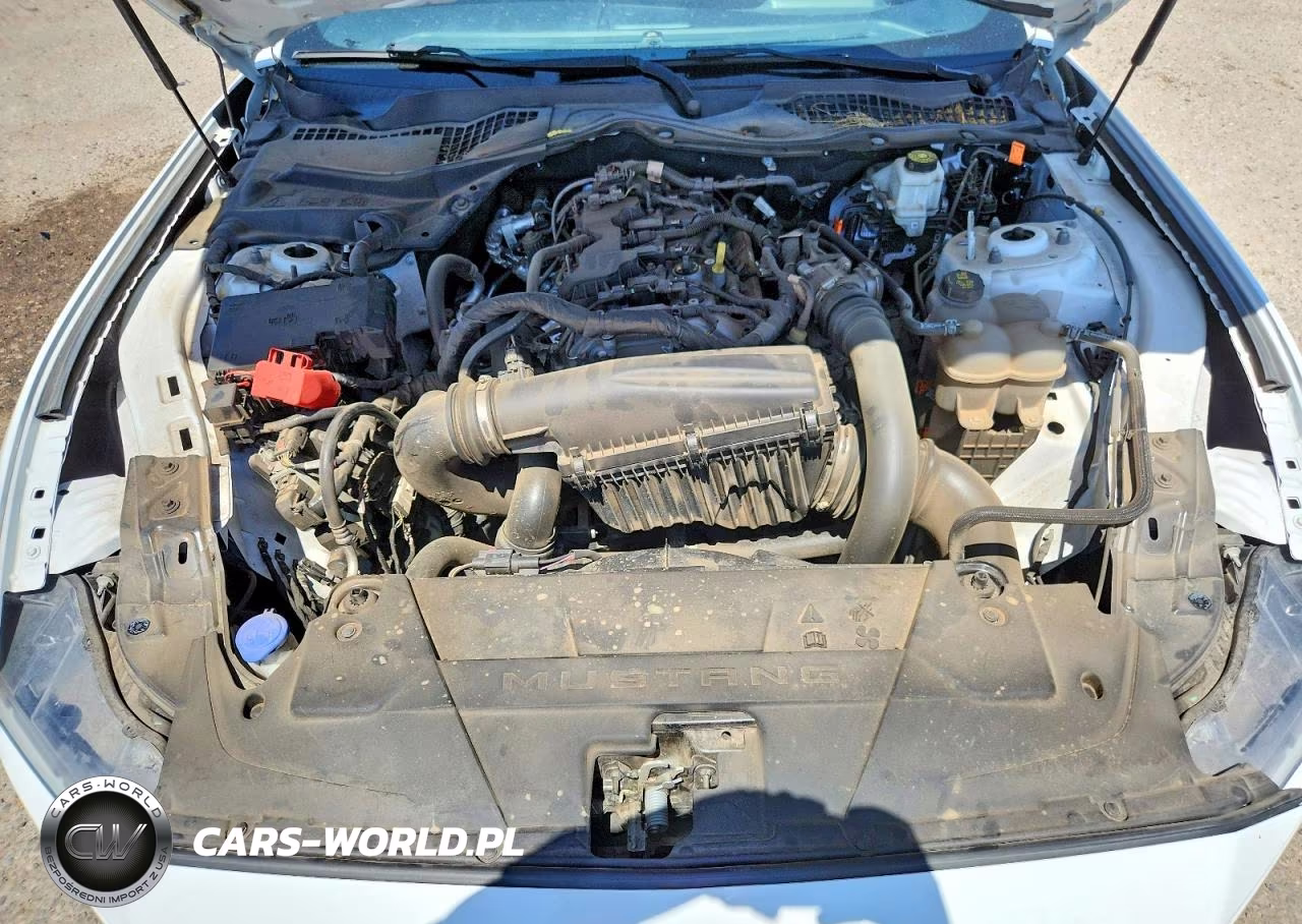 2024 Ford Mustang VIN:1FA6P8TH2R5121138 - 11
