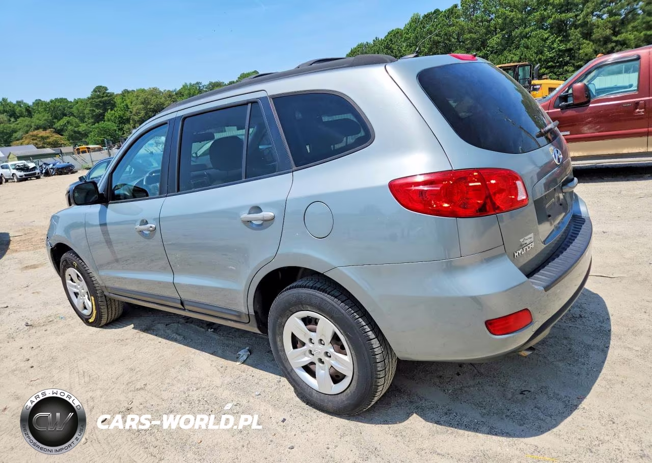 2009 Hyundai Santa Fe Gls VIN:5NMSG13D69H300907 - 2