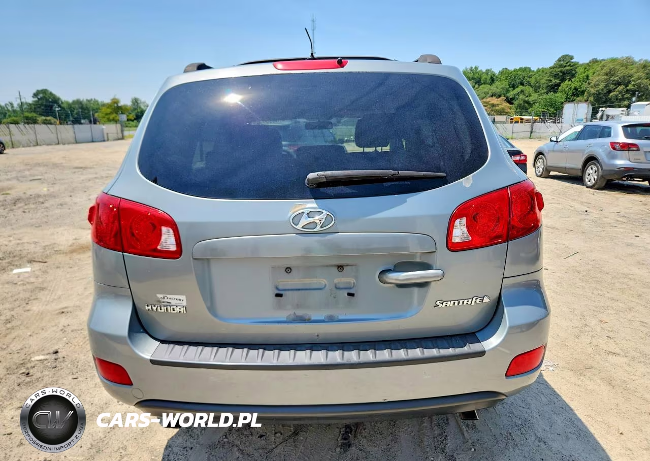 2009 Hyundai Santa Fe Gls VIN:5NMSG13D69H300907 - 6