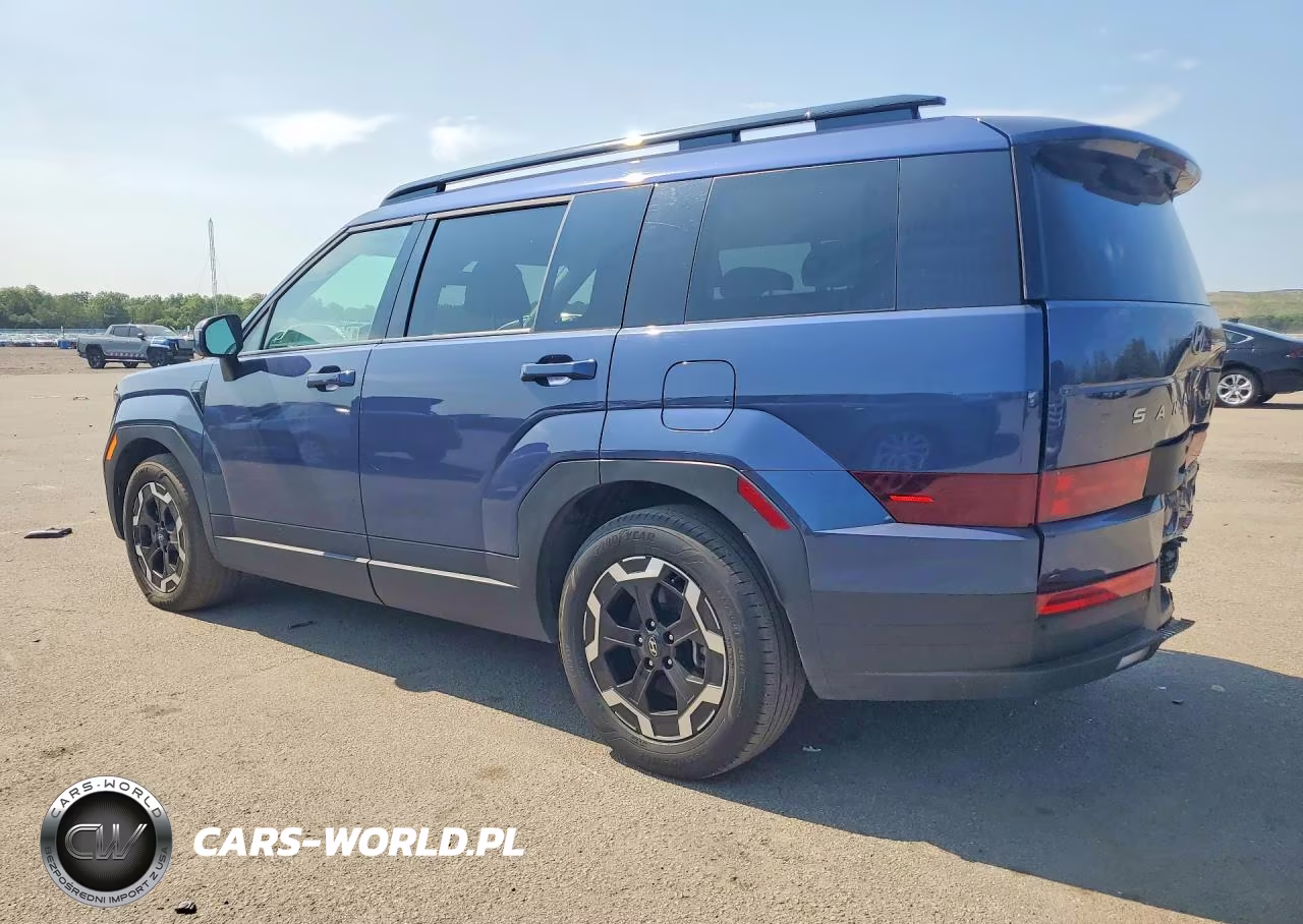 2025 Hyundai Santa Fe Sel VIN:5NMP2DGL7SH071473 - 2