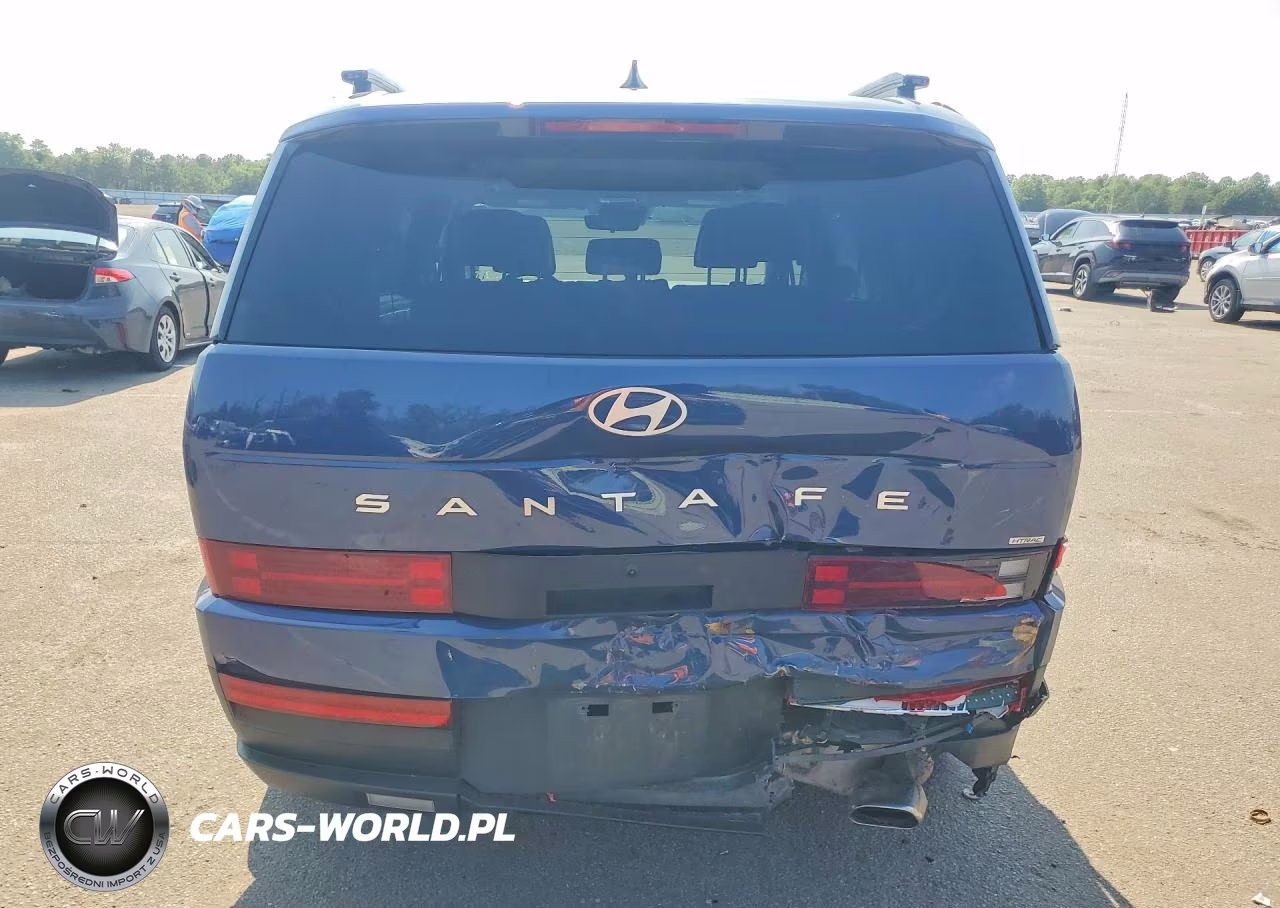 2025 Hyundai Santa Fe Sel VIN:5NMP2DGL7SH071473 - 6
