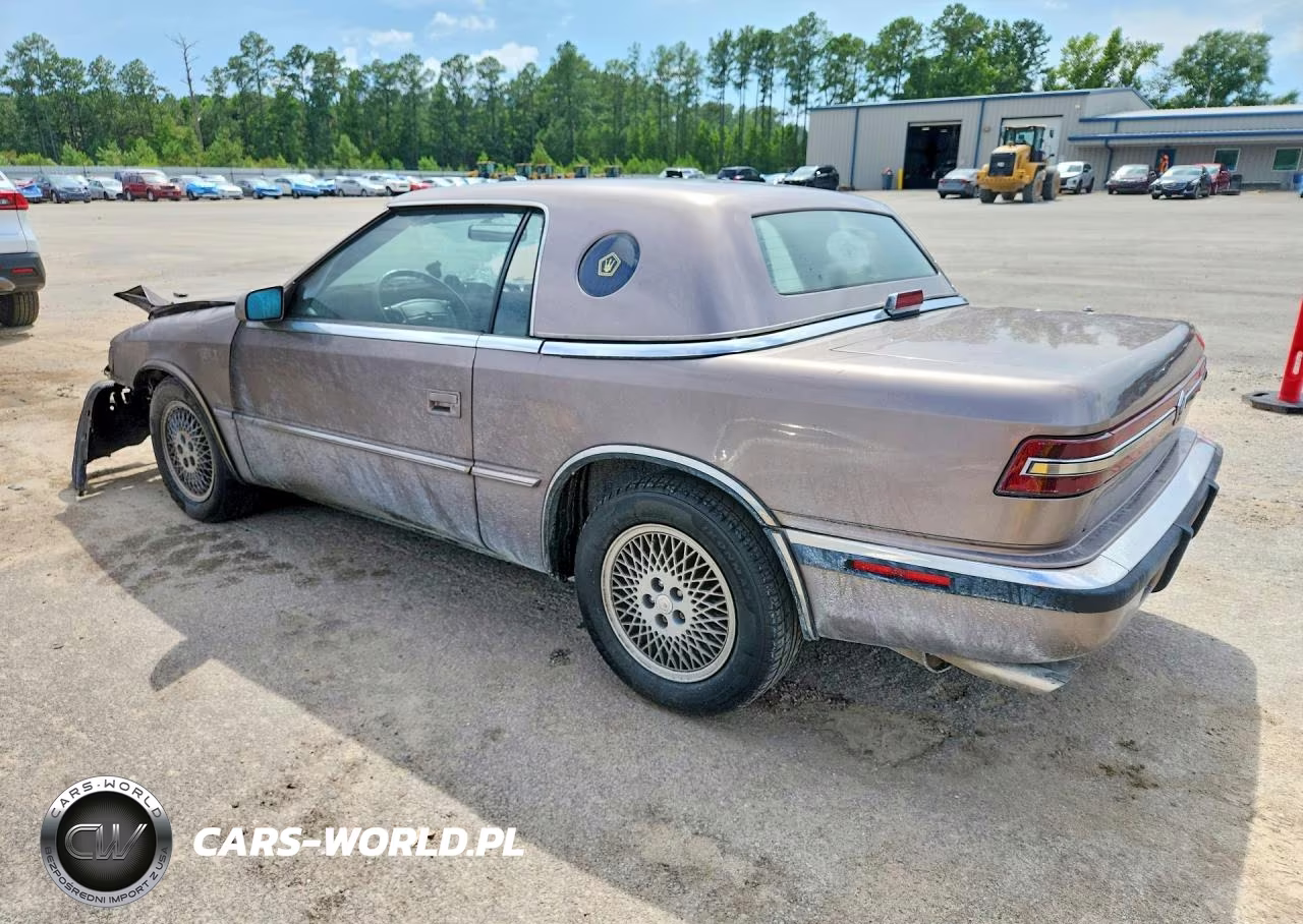1990 Chrysler Tc By Maserati VIN:ZC2FS1208LB206287 - 2