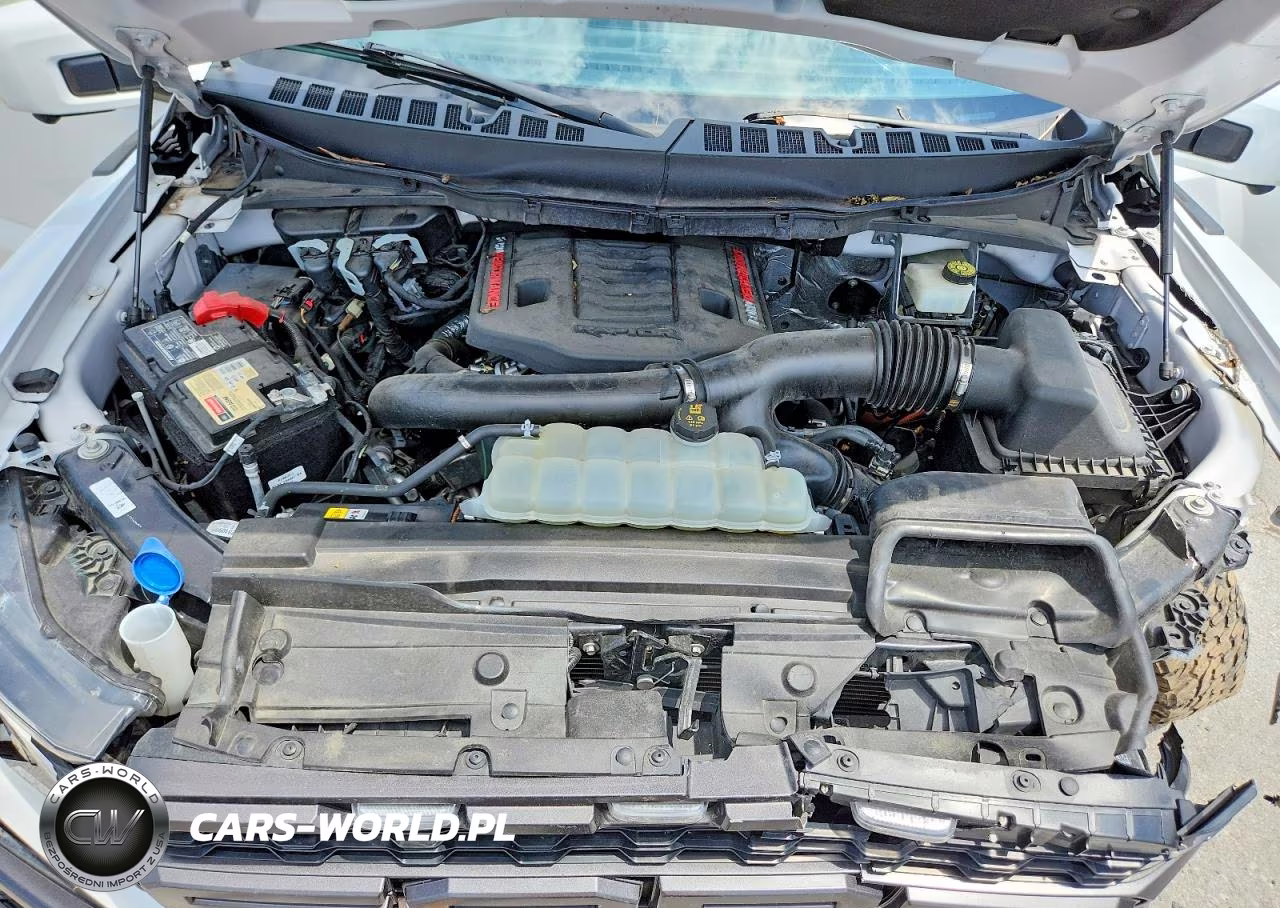2022 Ford F150 Raptor VIN:1FTFW1RG4NFB99864 - 11