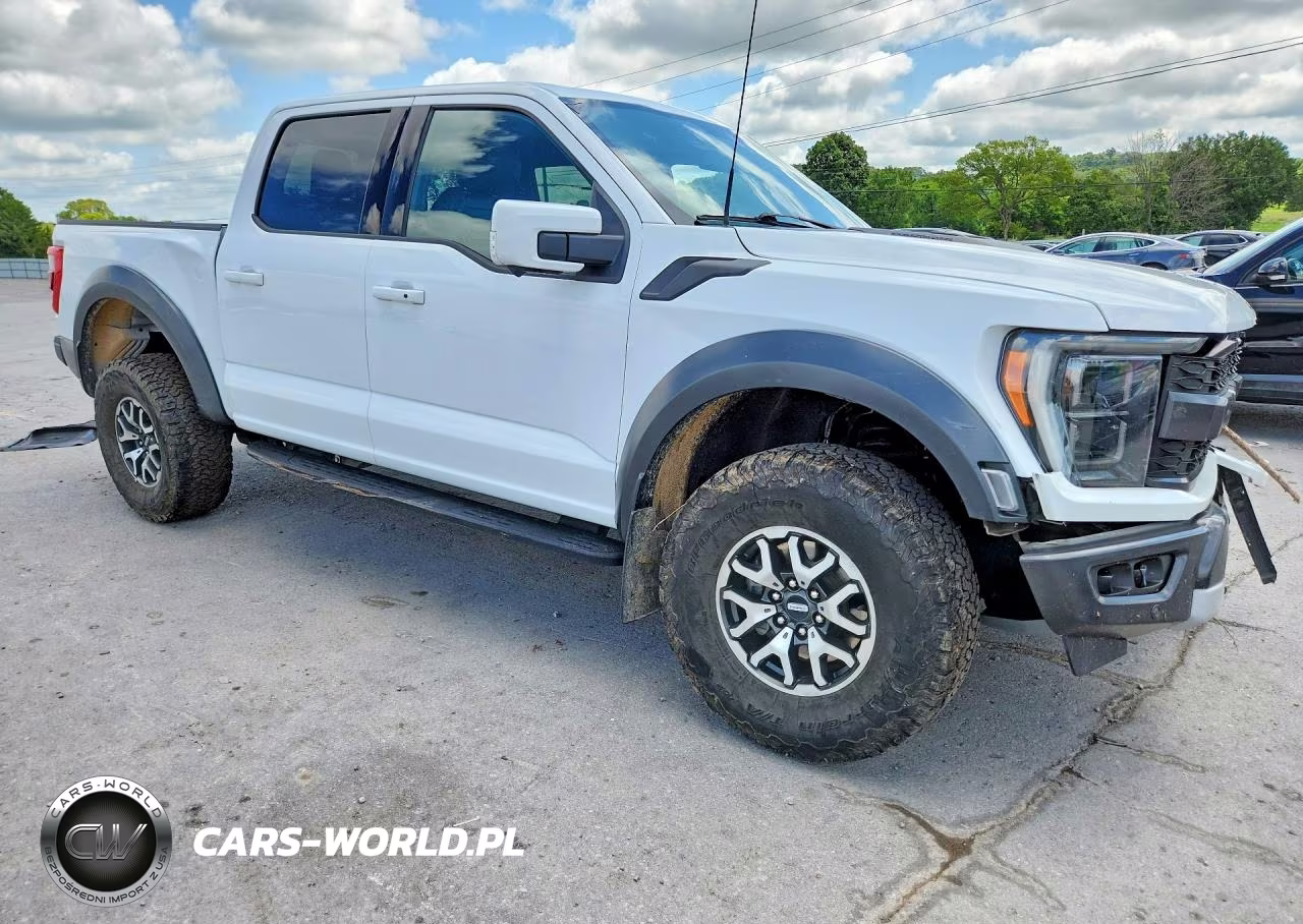 2022 Ford F150 Raptor VIN:1FTFW1RG4NFB99864 - 4