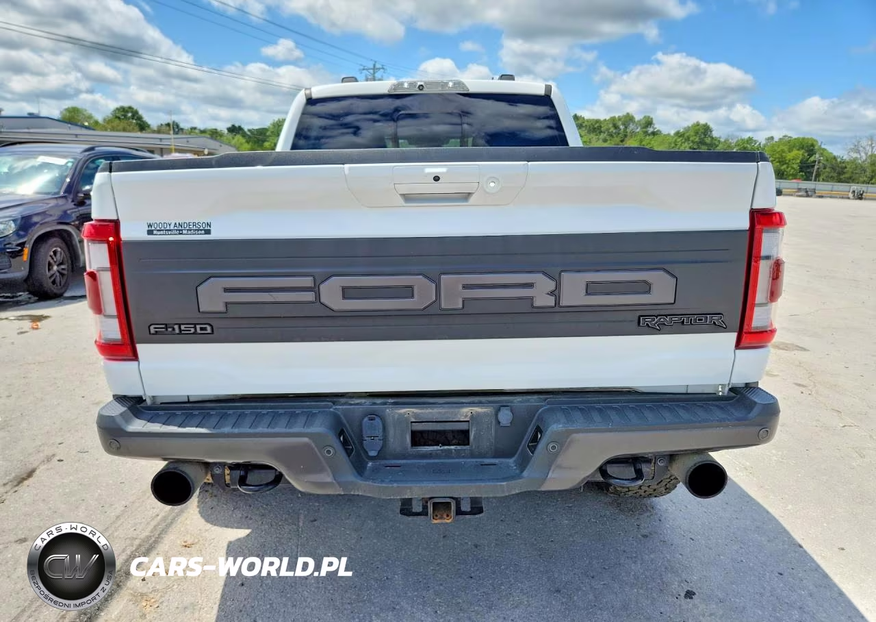 2022 Ford F150 Raptor VIN:1FTFW1RG4NFB99864 - 6