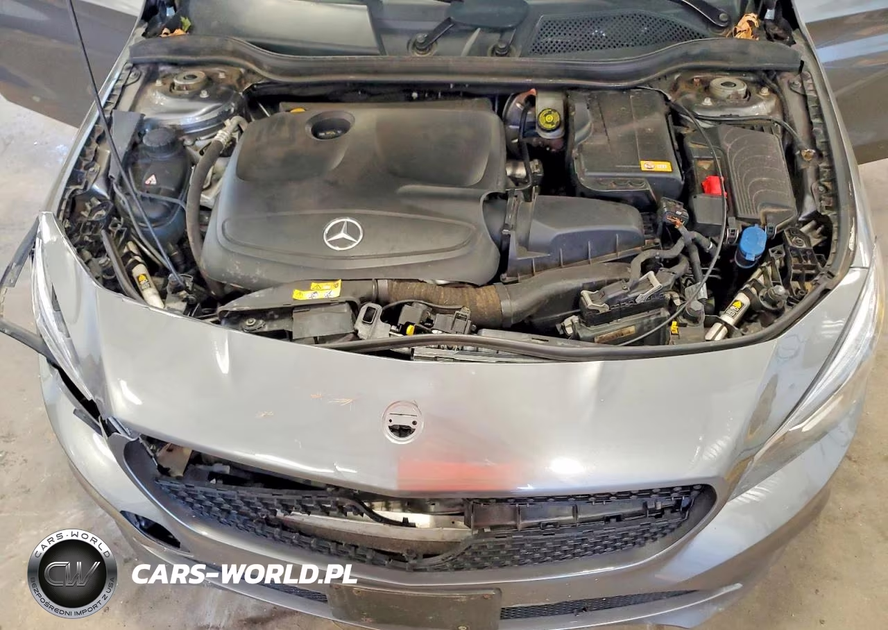 2014 Mercedes-Benz Cla 250 VIN:WDDSJ4EB2EN040877 - 11