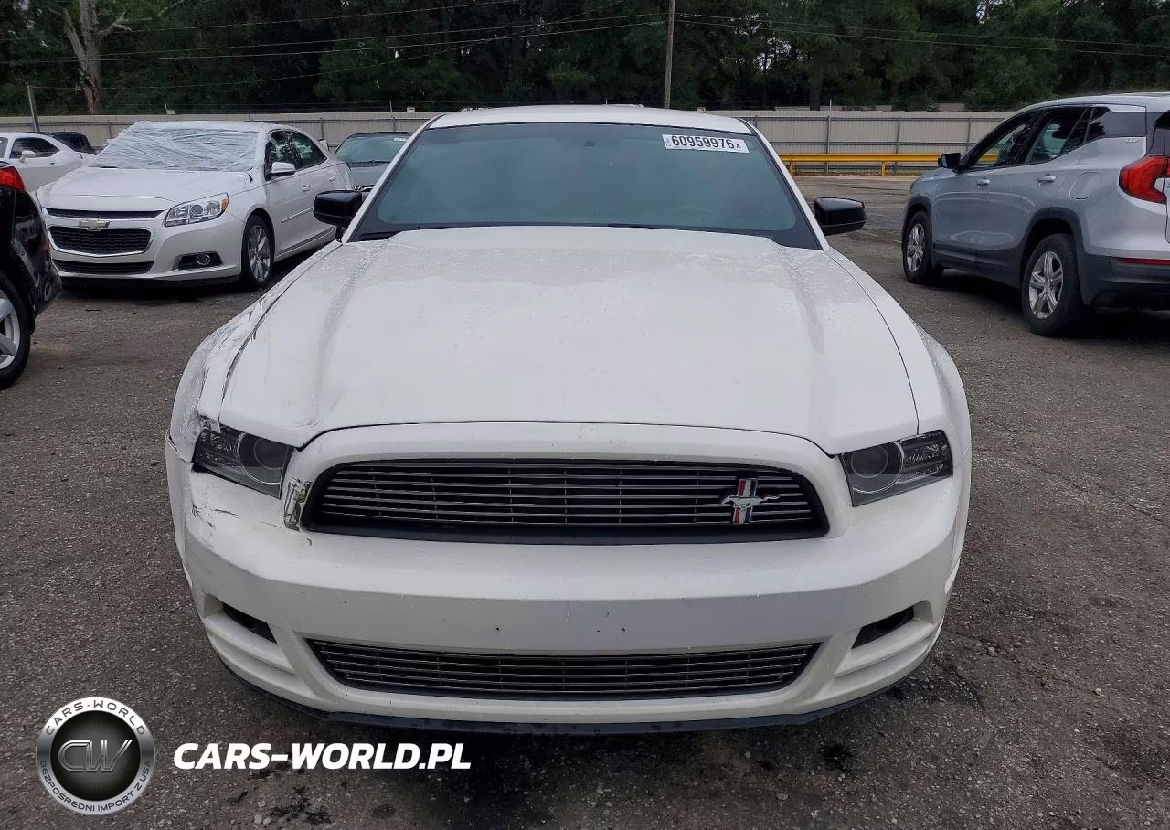 2013 Ford Mustang VIN:1ZVBP8AM5D5210992 - 5
