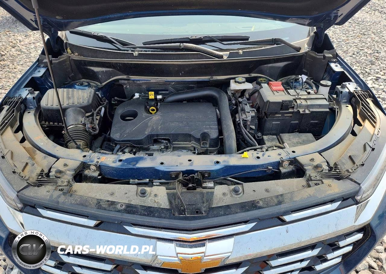 2025 Chevrolet Equinox Lt VIN:3GNAXPEG8SL238237 - 12