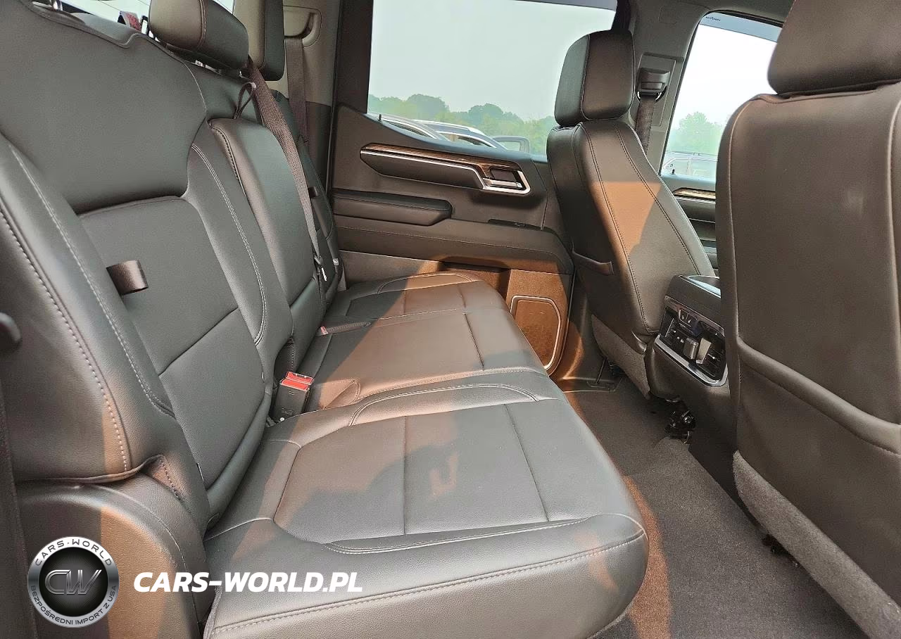 2023 Chevrolet Silverado K1500 Rst VIN:1GCUDEE81PZ129419 - 10
