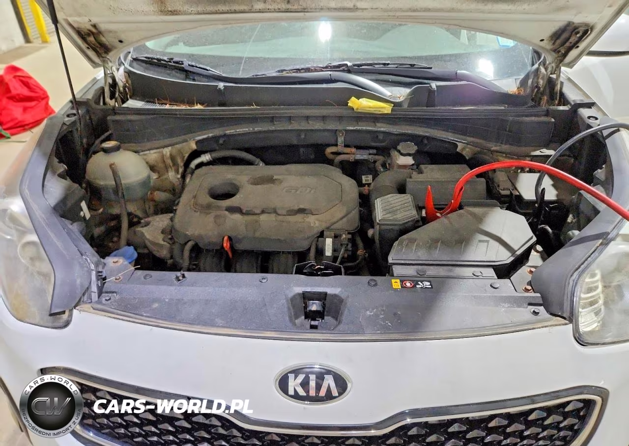 2017 Kia Sportage Lx VIN:KNDPMCAC1H7035212 - 12