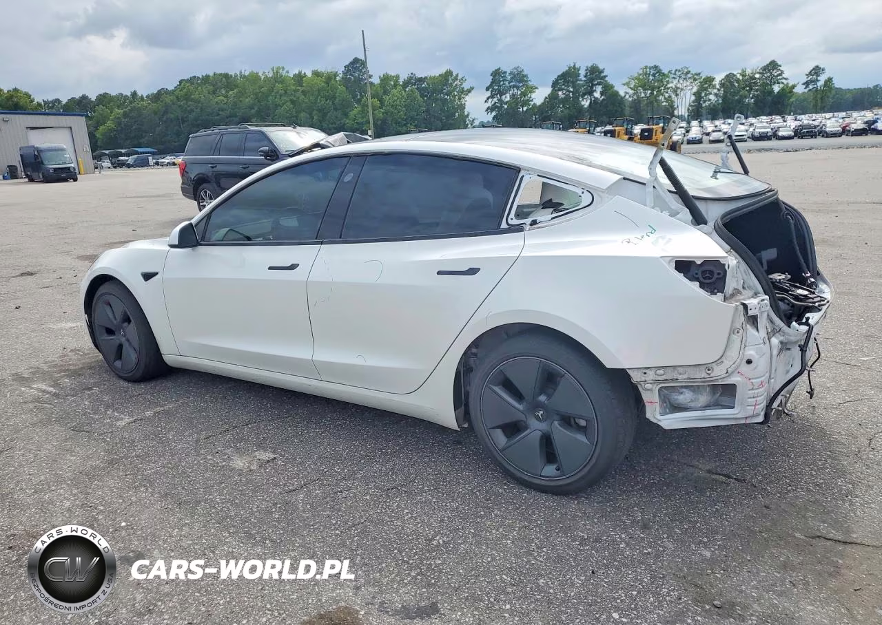 2021 Tesla Model 3 VIN:5YJ3E1EA5MF048865 - 2