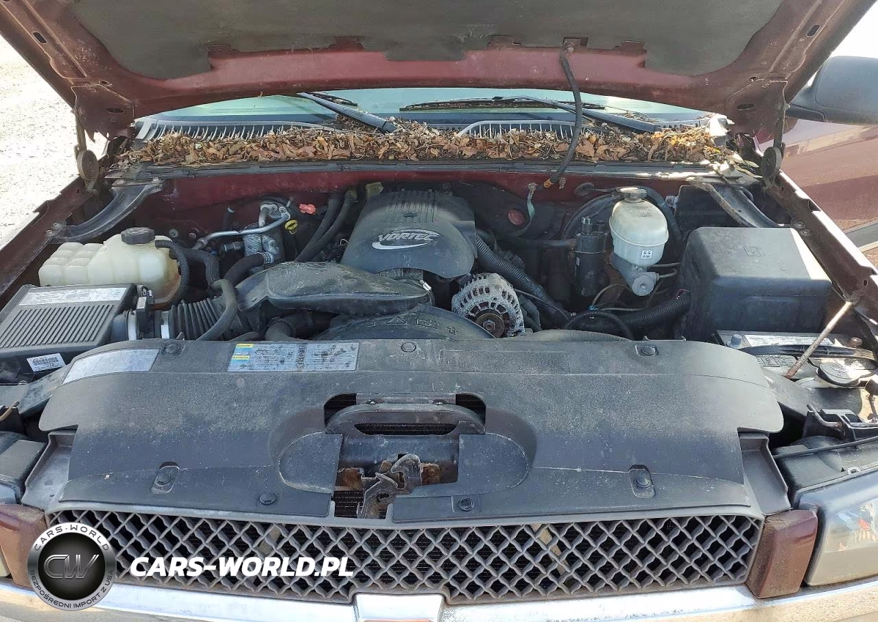 2003 Chevrolet Silverado K1500 VIN:1GCEK19VX3E323869 - 11