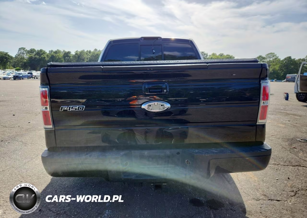 2011 Ford F150 Supercrew VIN:1FTFW1EFXBFD39568 - 6