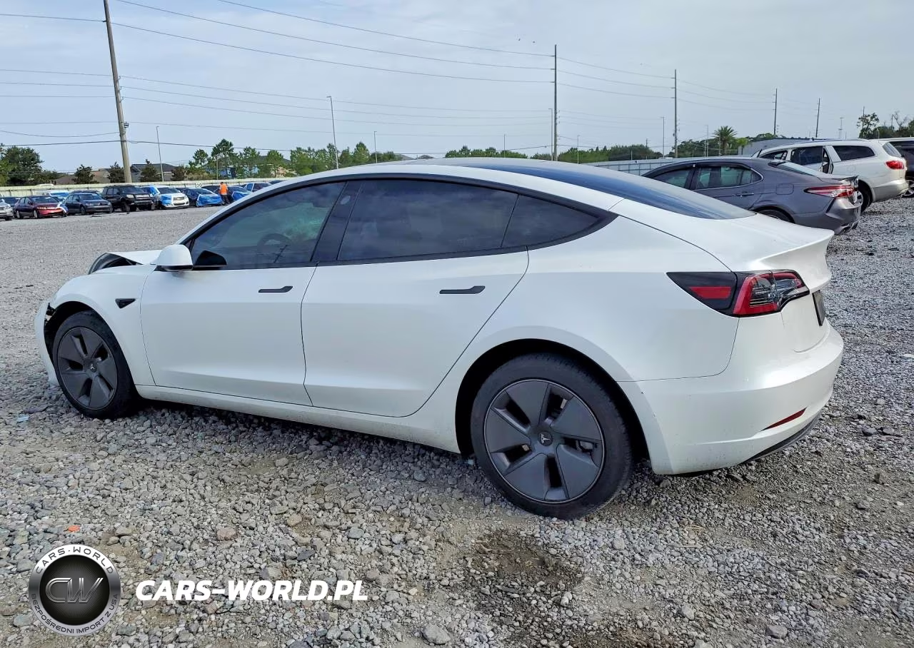 2023 Tesla Model 3 VIN:5YJ3E1EA7PF562527 - 2