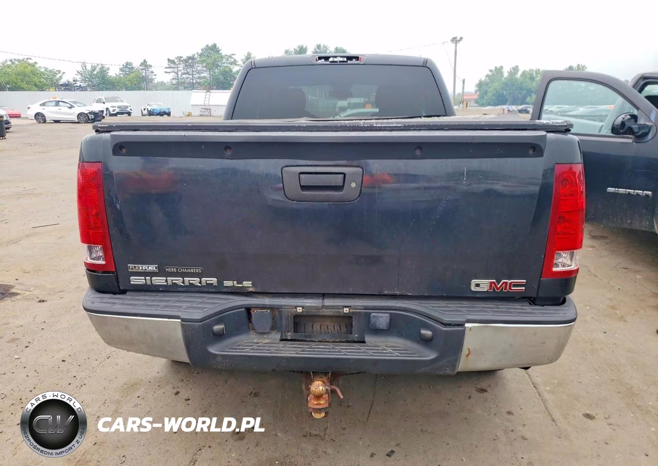 2009 GMC Sierra K1500 Sle VIN:1GTEK29079Z294858 - 6