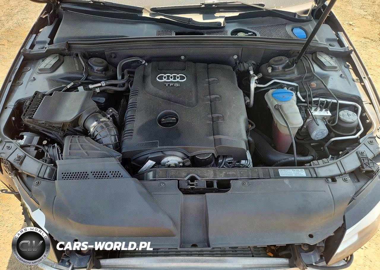 2012 Audi A4 Premium Plus VIN:WAUFFAFL3CN020909 - 11