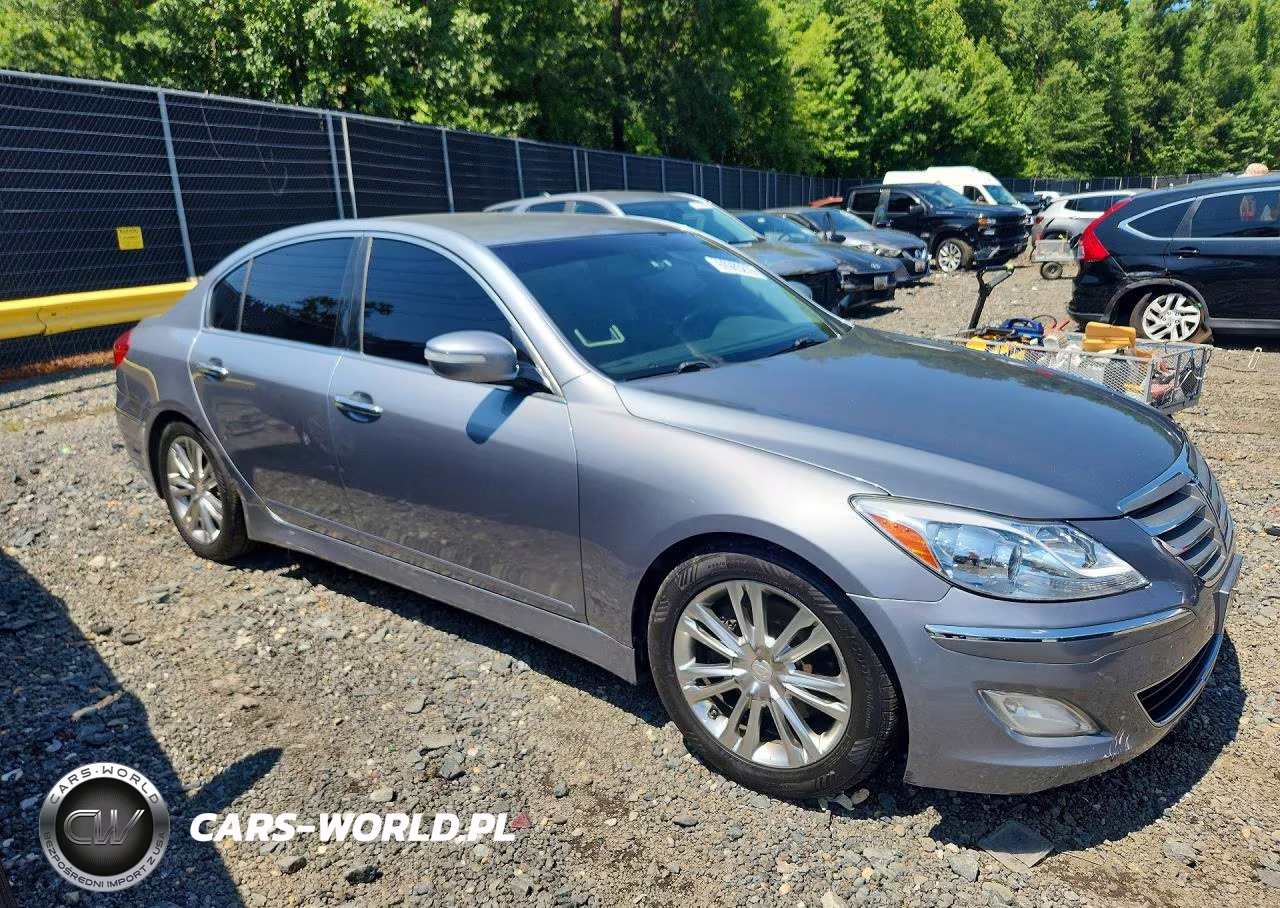 2014 Hyundai Genesis 3.8L VIN:KMHGC4DD6EU259694 - 4