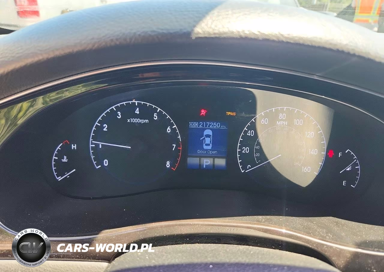 2014 Hyundai Genesis 3.8L VIN:KMHGC4DD6EU259694 - 9