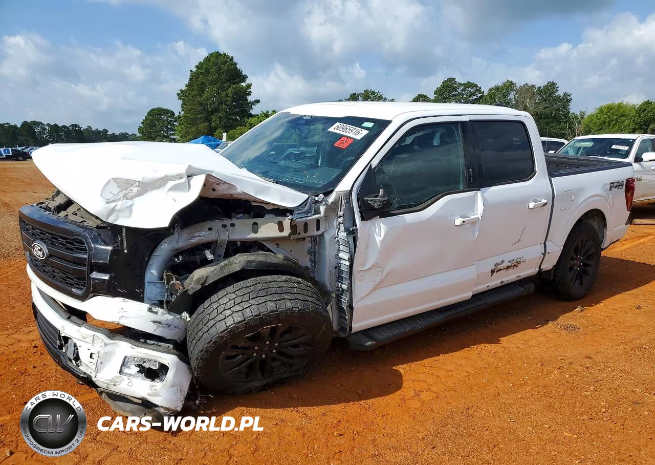 2019 Ford F150 – zdjęcie 1 z 12