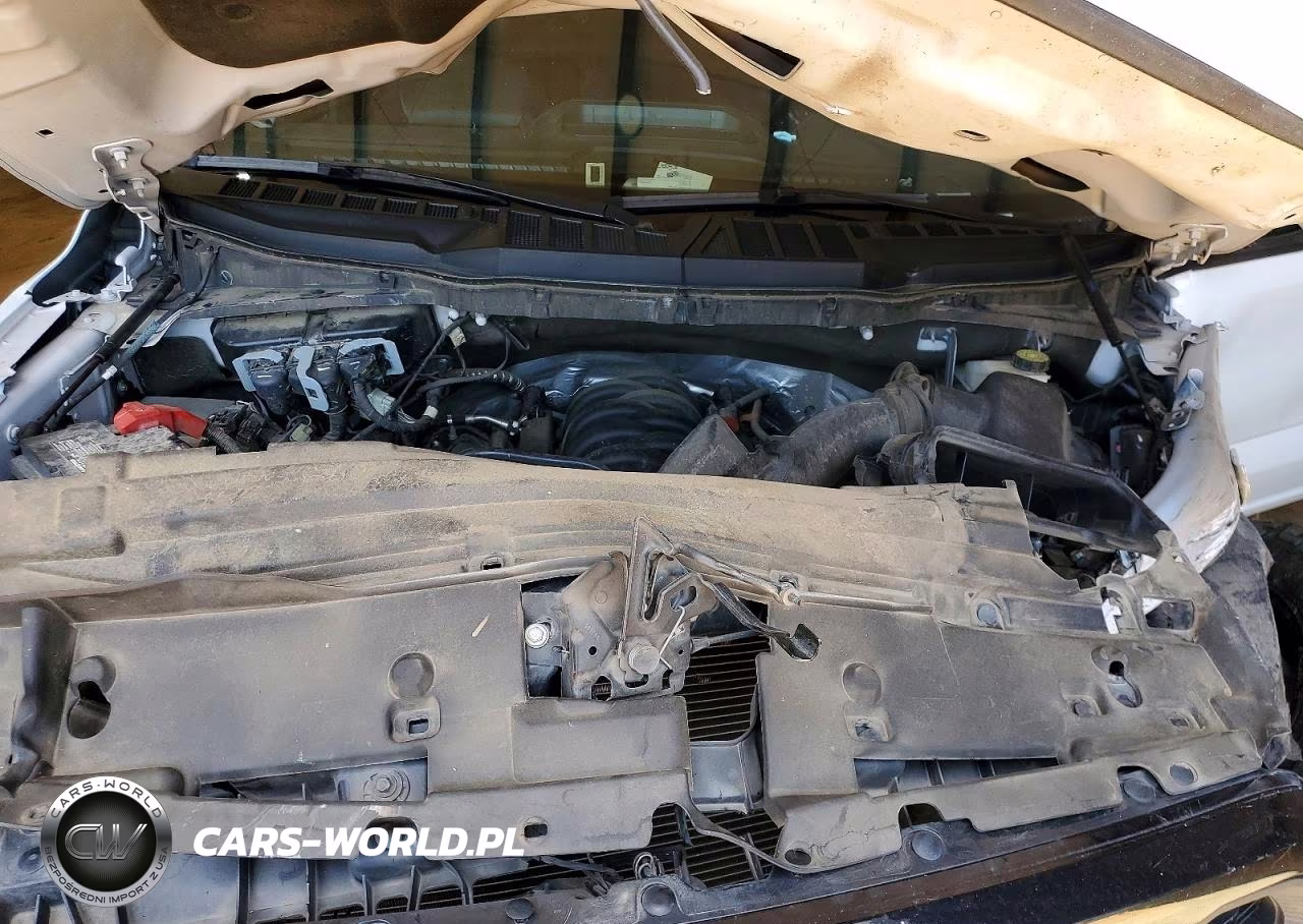 2019 Ford F150 VIN:1FTFW5L57RFA53334 - 11