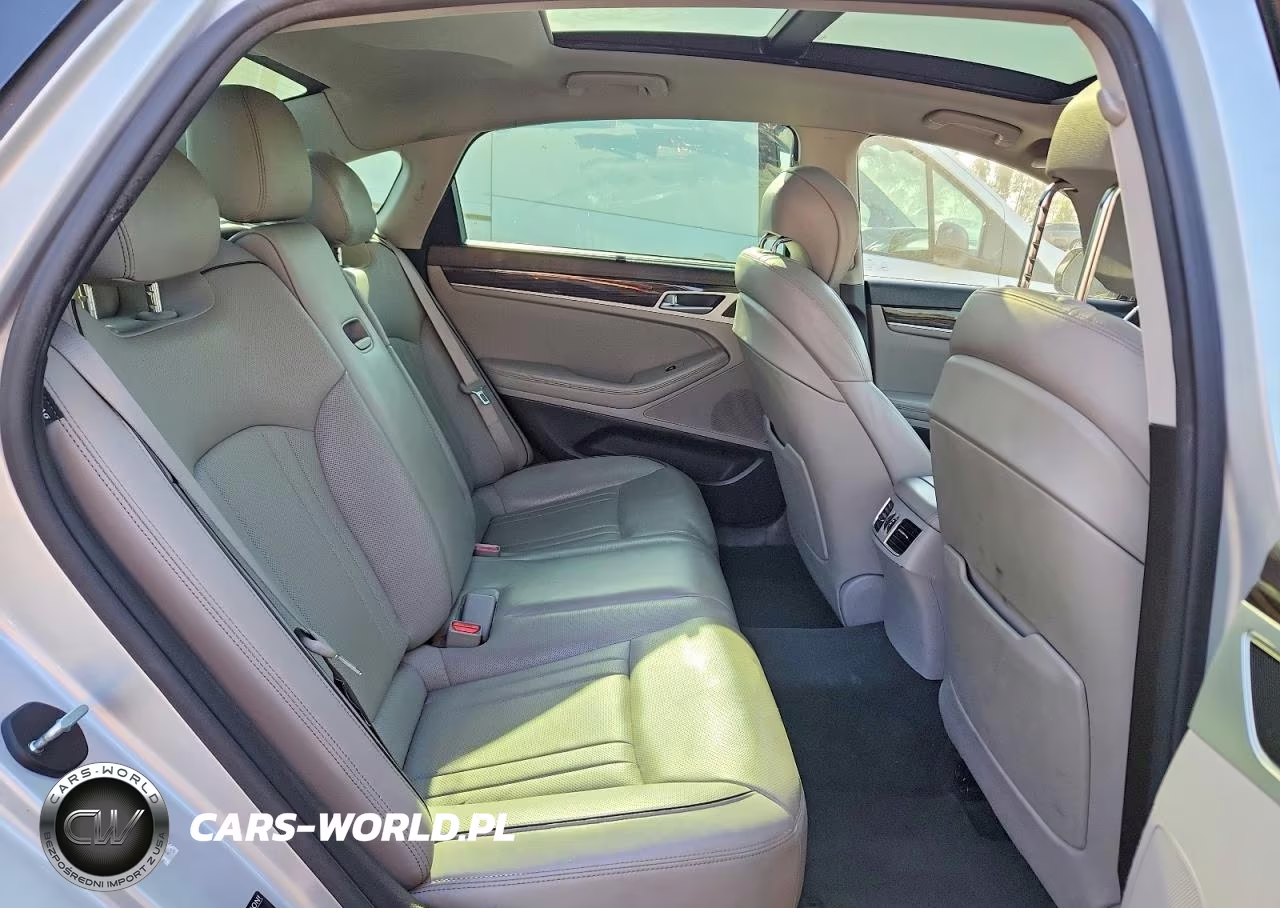2015 Hyundai Genesis 3.8L VIN:KMHGN4JEXFU016849 - 10
