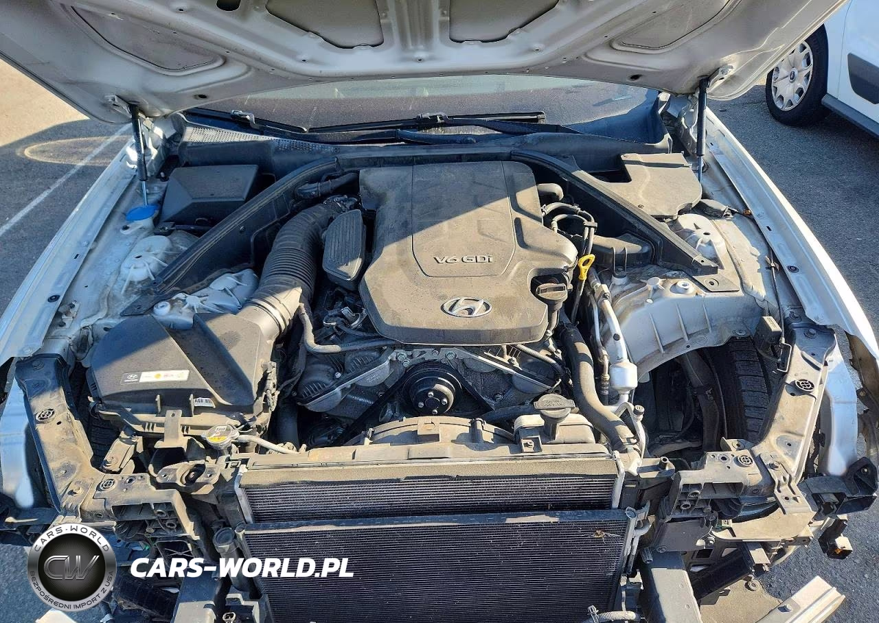 2015 Hyundai Genesis 3.8L VIN:KMHGN4JEXFU016849 - 11