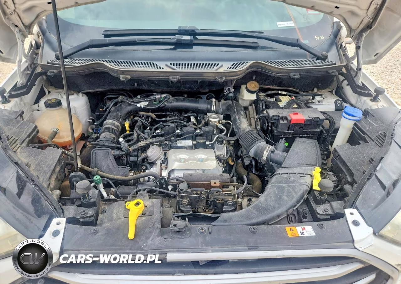 2021 Ford Ecosport Se VIN:MAJ3S2GE9MC399411 - 12