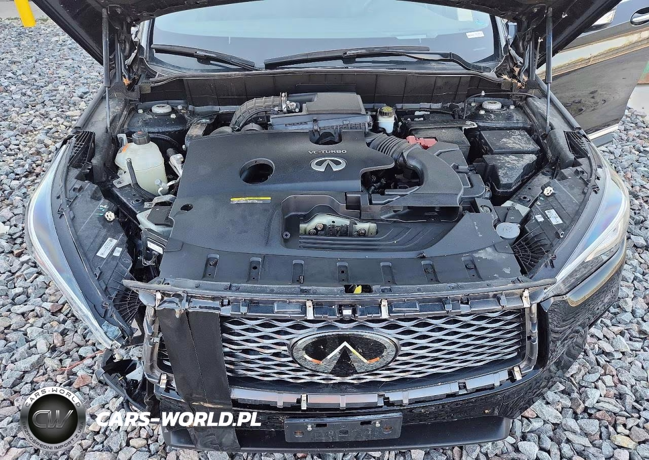2019 Infiniti Qx50 Essential VIN:3PCAJ5M3XKF118211 - 12