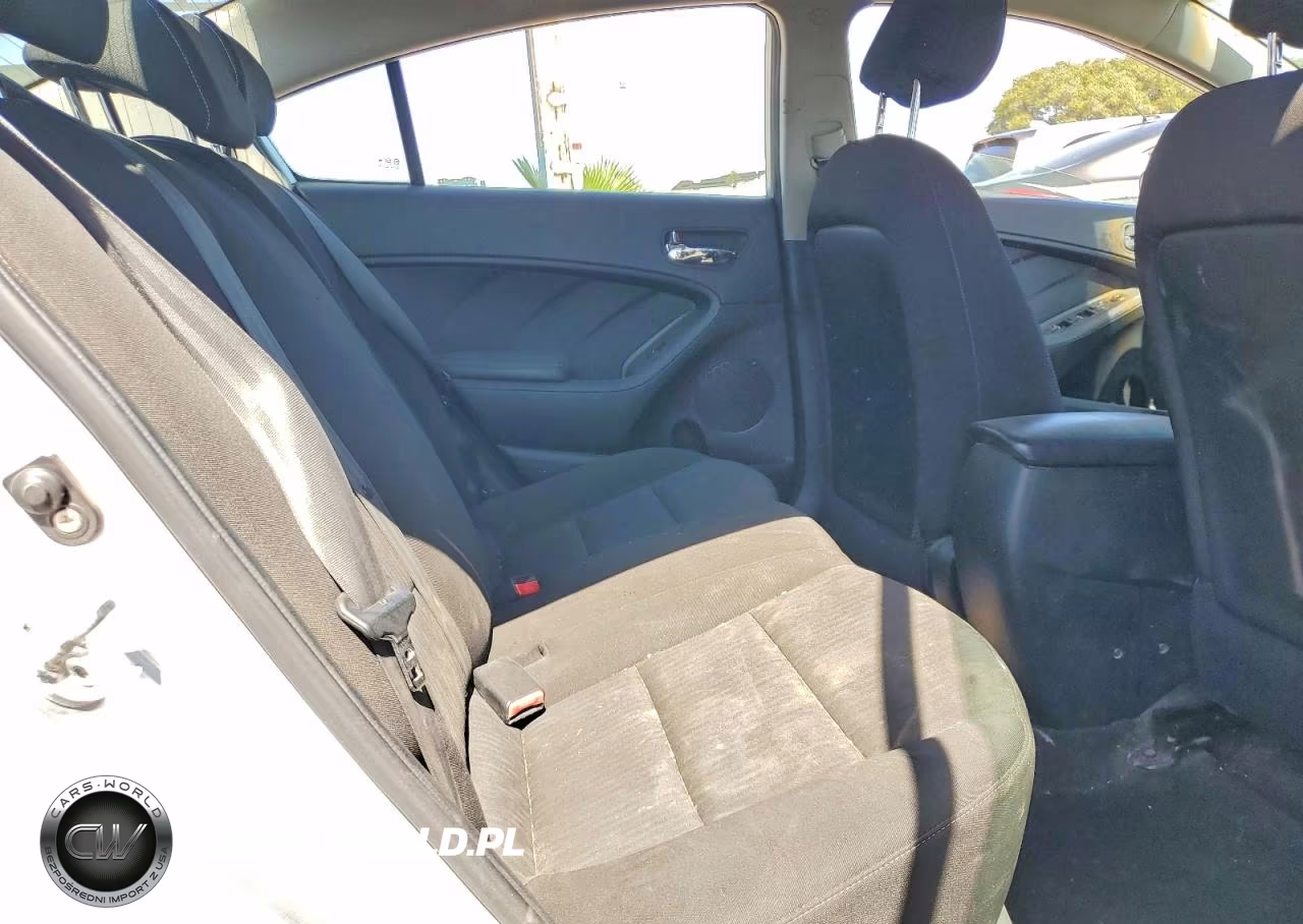 2014 Kia Forte Lx VIN:KNAFK4A67E5147549 - 10