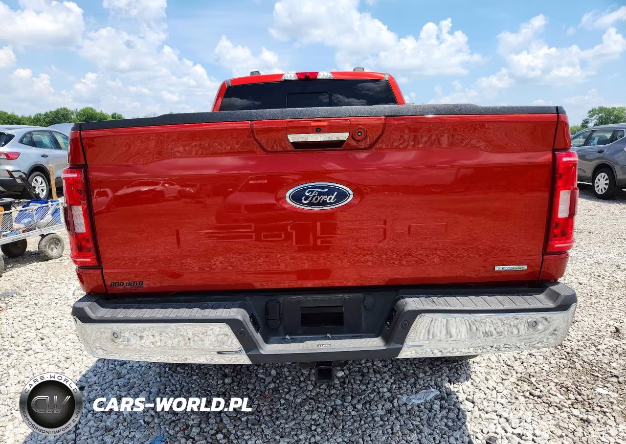 2023 Ford F150 Supercrew VIN:1FTFW1E80PKD20978 - 6