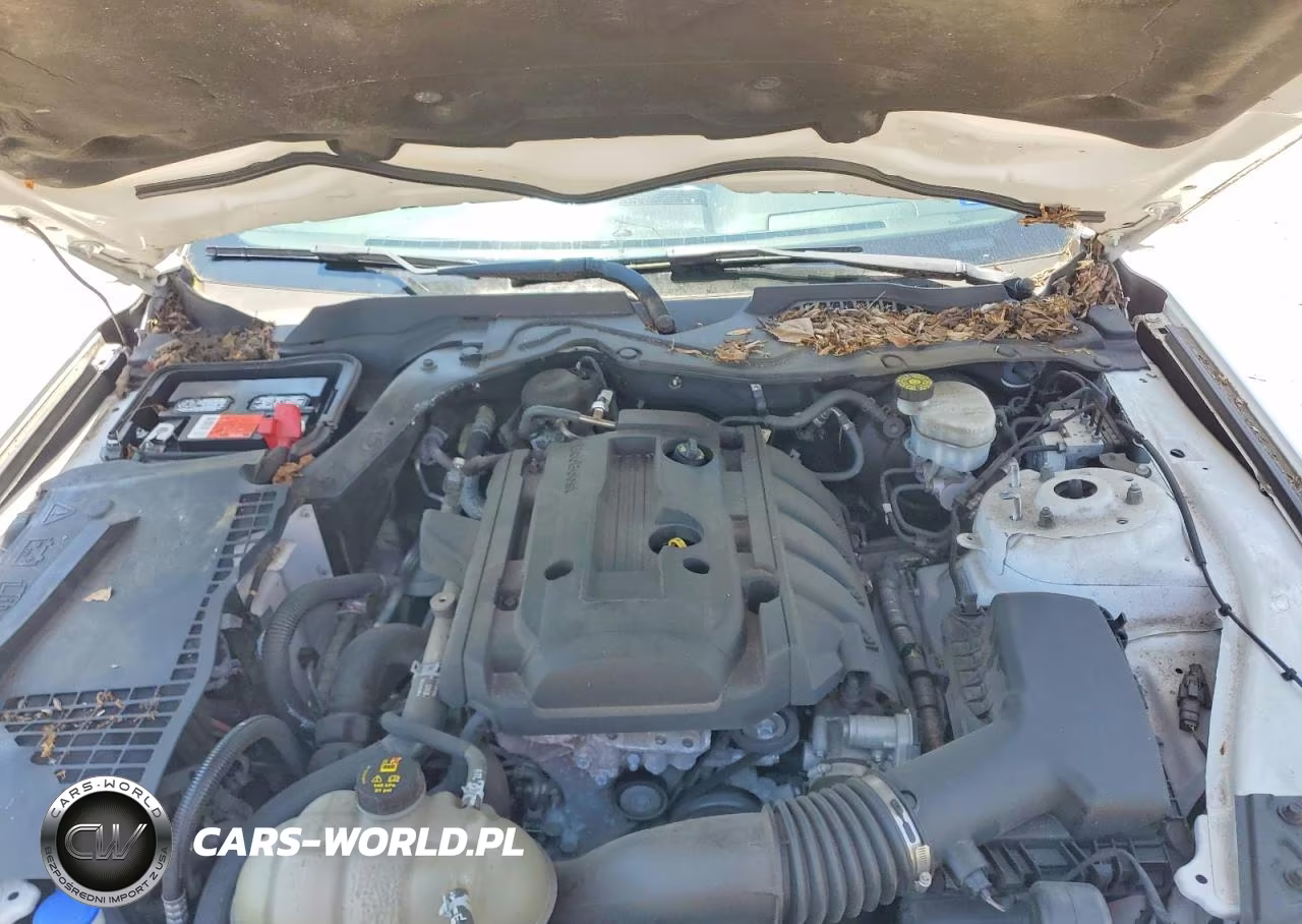 2020 Ford Mustang VIN:1FA6P8TH4L5136845 - 11