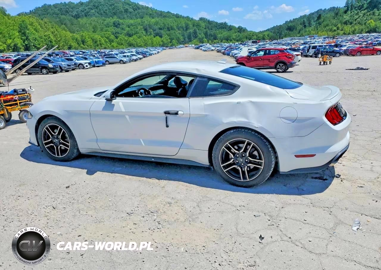 2020 Ford Mustang VIN:1FA6P8TH4L5136845 - 2