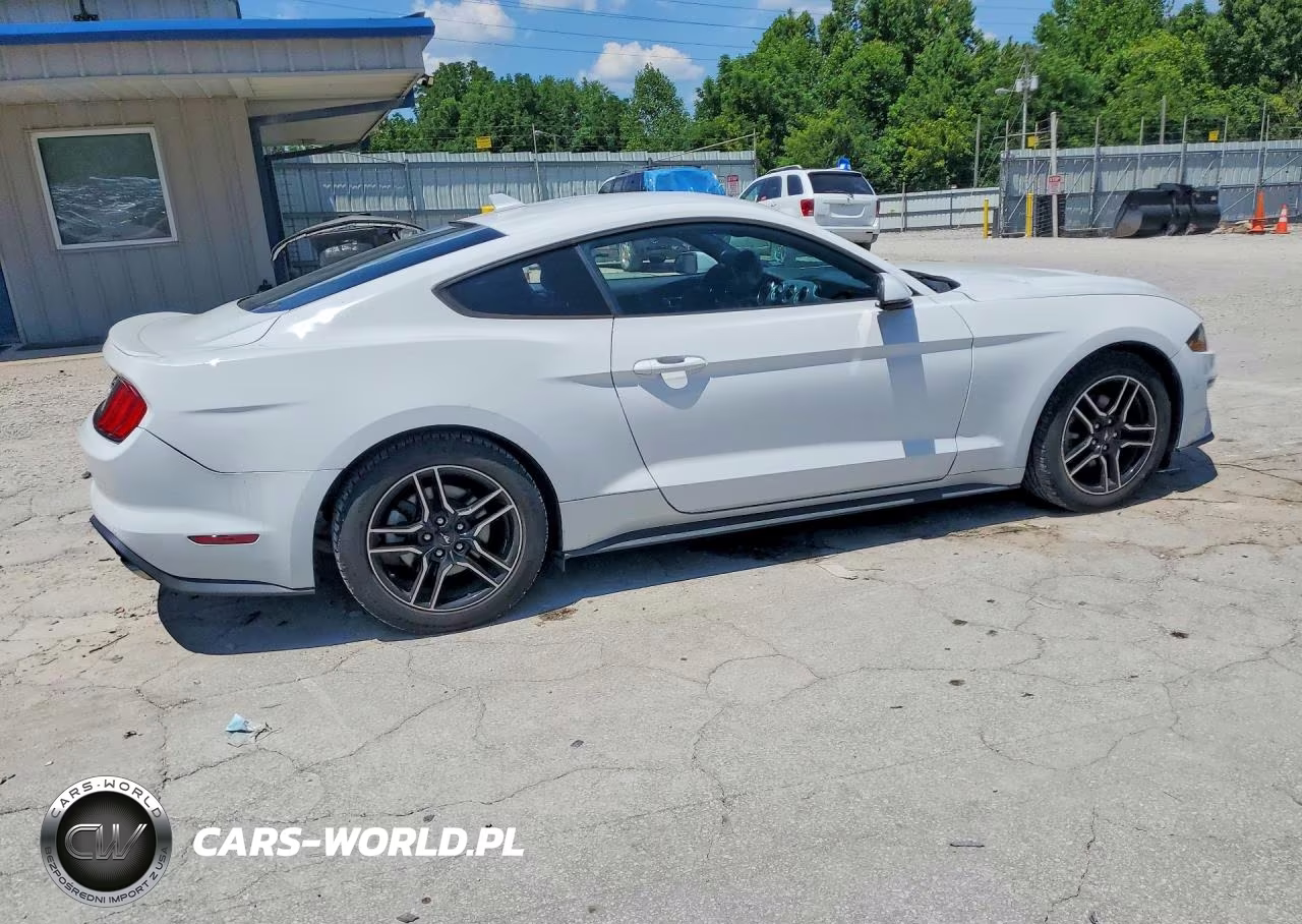 2020 Ford Mustang VIN:1FA6P8TH4L5136845 - 3