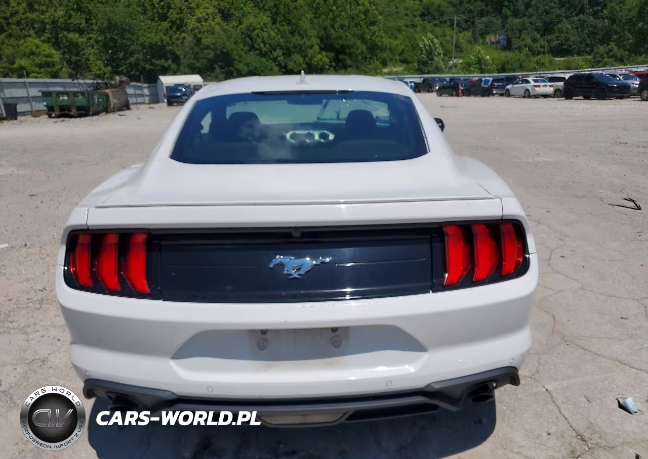 2020 Ford Mustang VIN:1FA6P8TH4L5136845 - 6