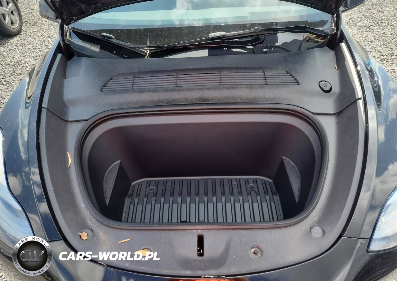 2024 Tesla Model Y VIN:7SAYGDED8RF098018 - 11