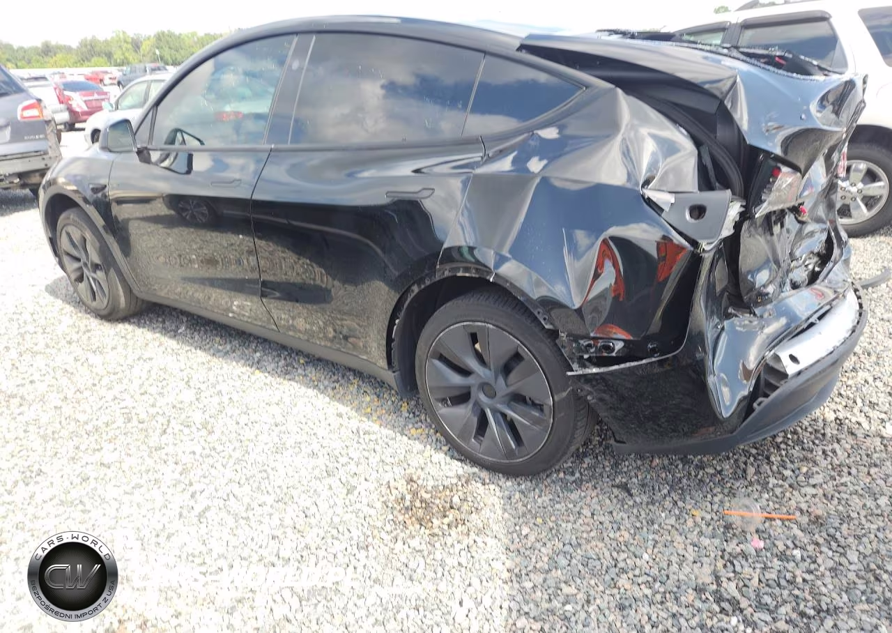 2024 Tesla Model Y VIN:7SAYGDED8RF098018 - 2