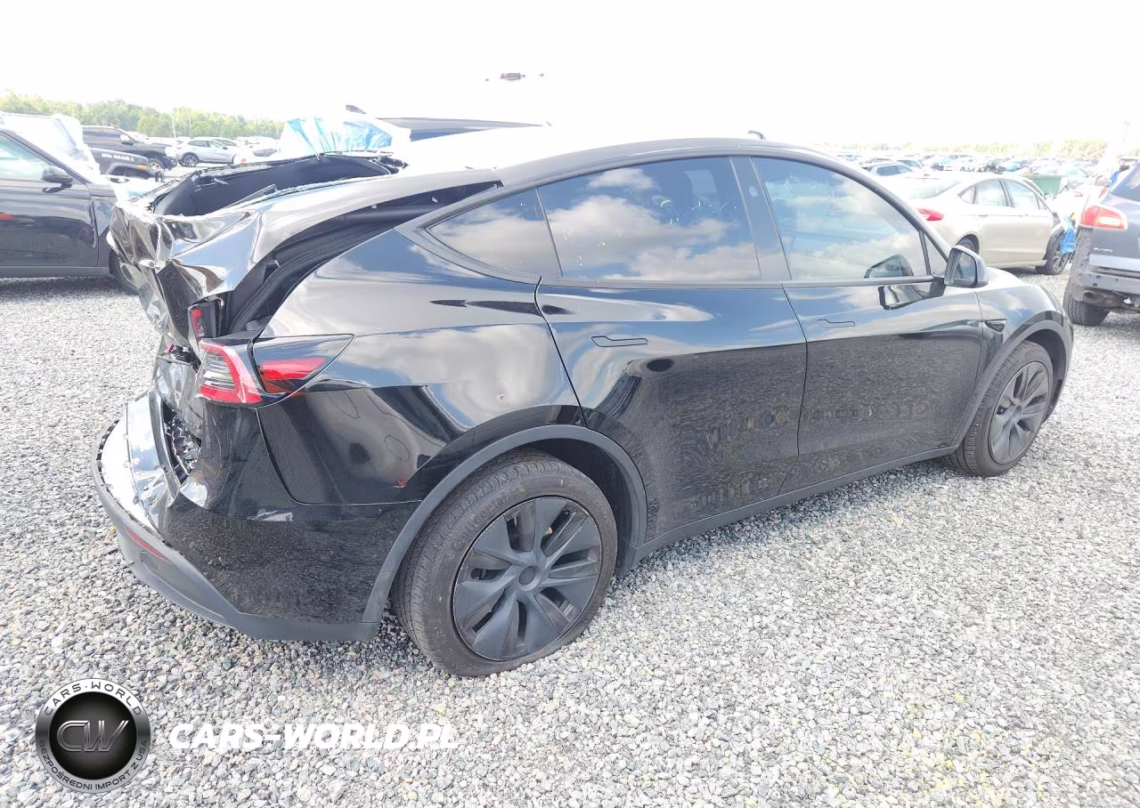 2024 Tesla Model Y VIN:7SAYGDED8RF098018 - 3