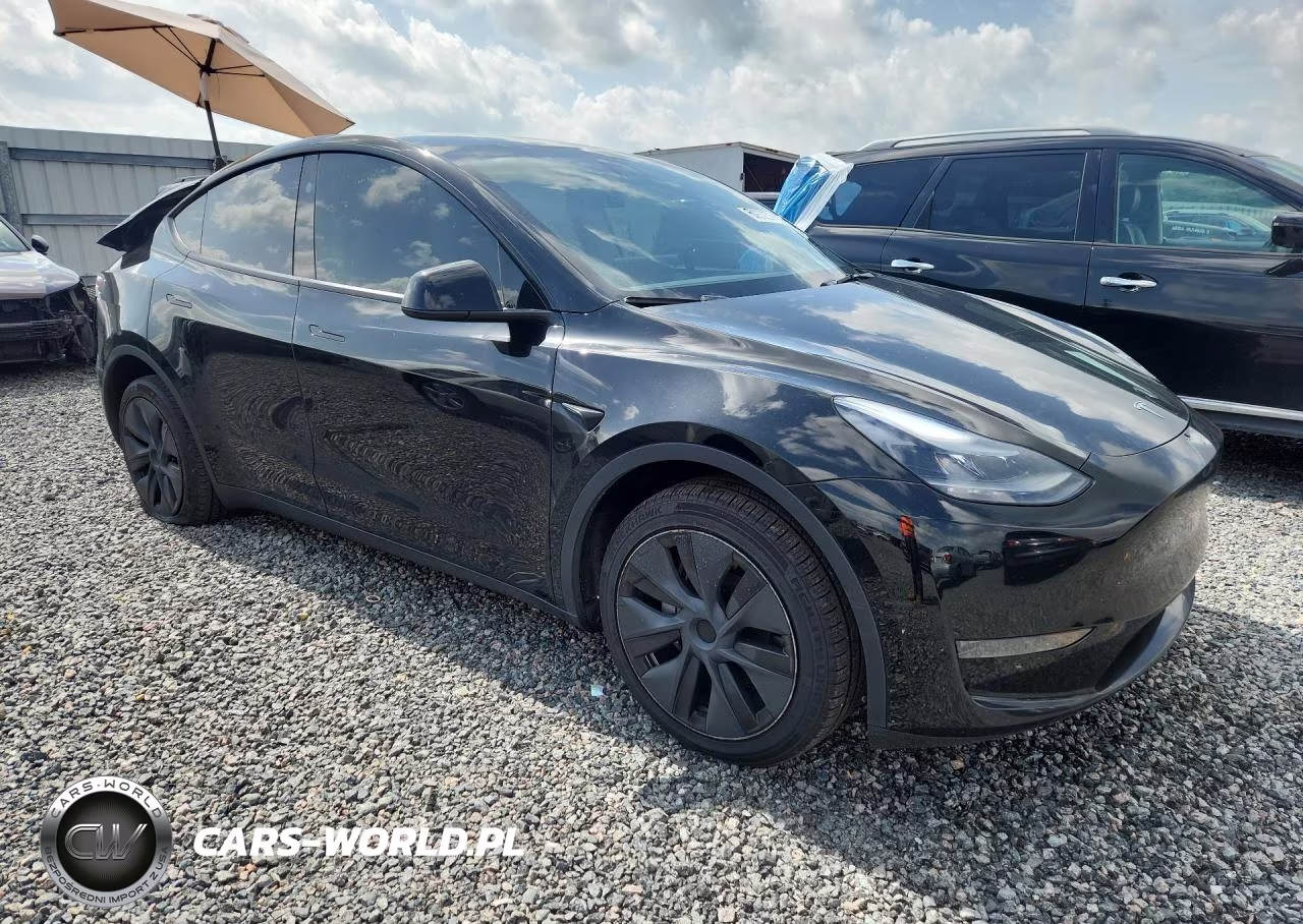 2024 Tesla Model Y VIN:7SAYGDED8RF098018 - 4