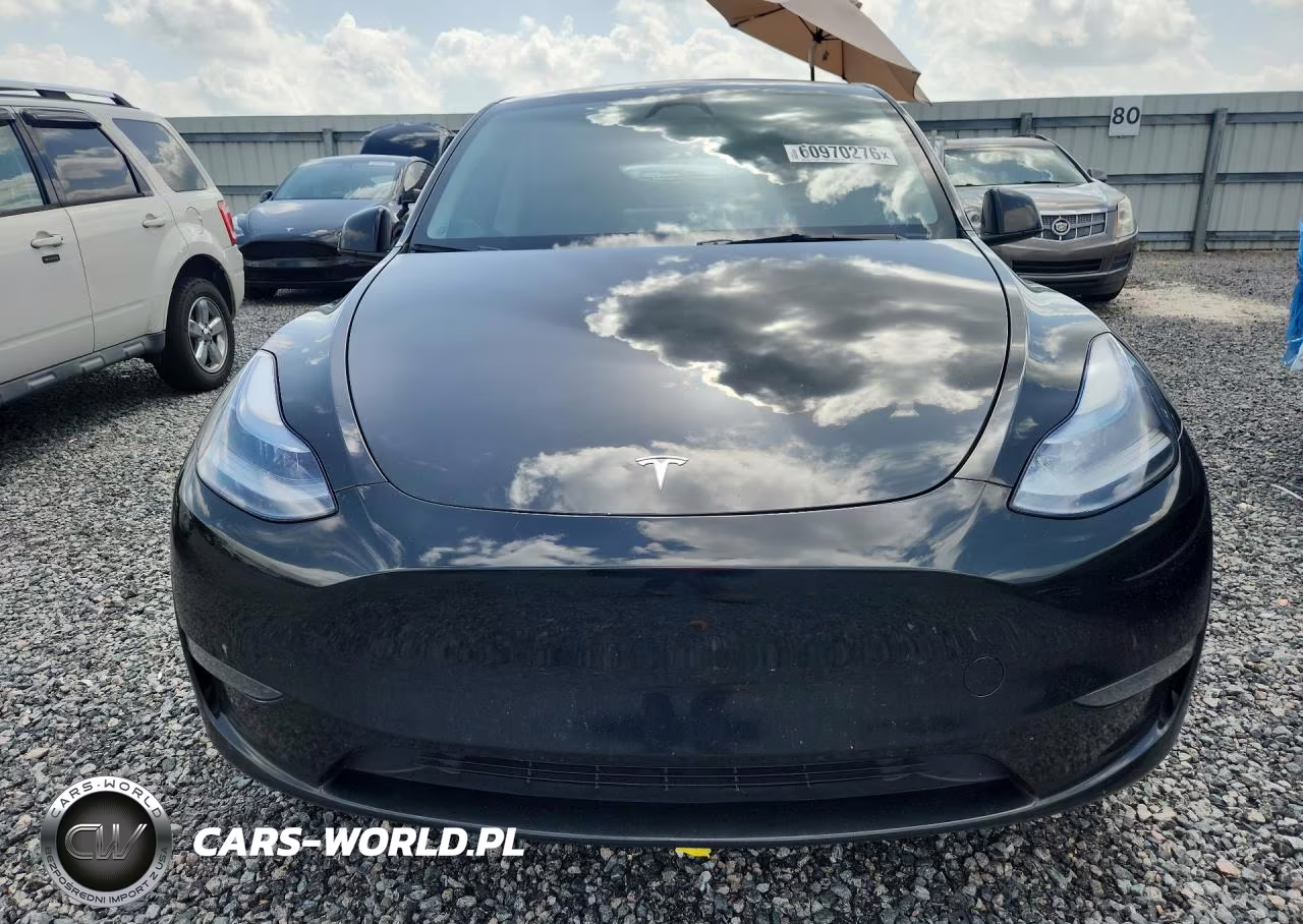 2024 Tesla Model Y VIN:7SAYGDED8RF098018 - 5