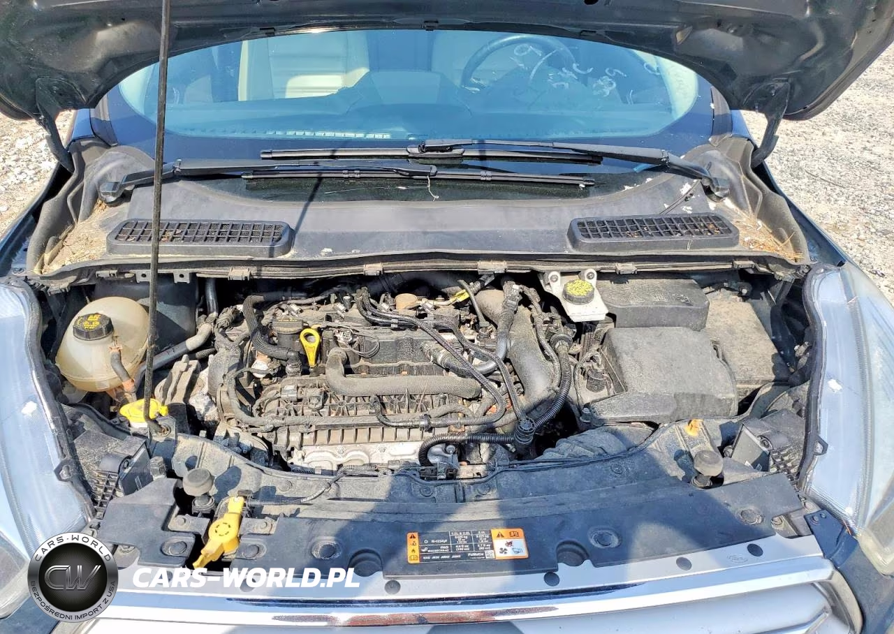 2019 Ford Escape Sel VIN:1FMCU9HD9KUB41282 - 11