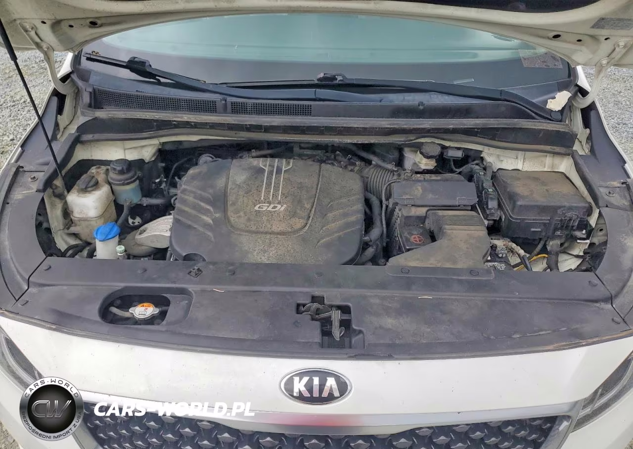 2016 Kia Sedona Lx VIN:KNDMB5C13G6213674 - 12