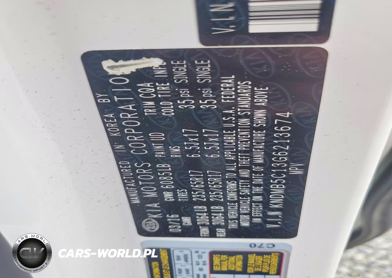 2016 Kia Sedona Lx VIN:KNDMB5C13G6213674 - 13