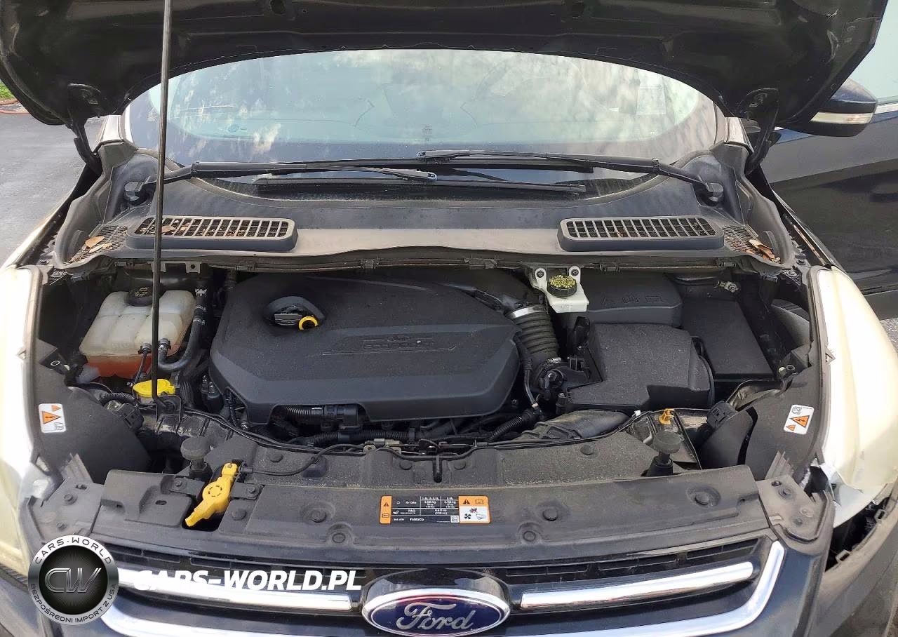 2014 Ford Escape Titanium VIN:1FMCU0JX7EUA67087 - 12